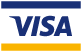 Logo Visa Card